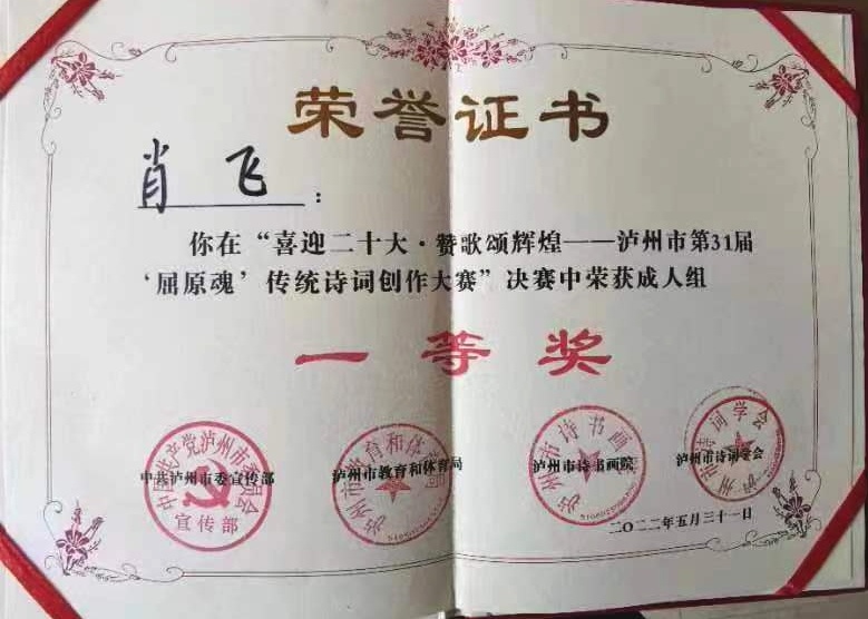 《悼念肖飞诗友诗文联专辑（二）》——（泸州叙永扎西等地众诗友）（图12）