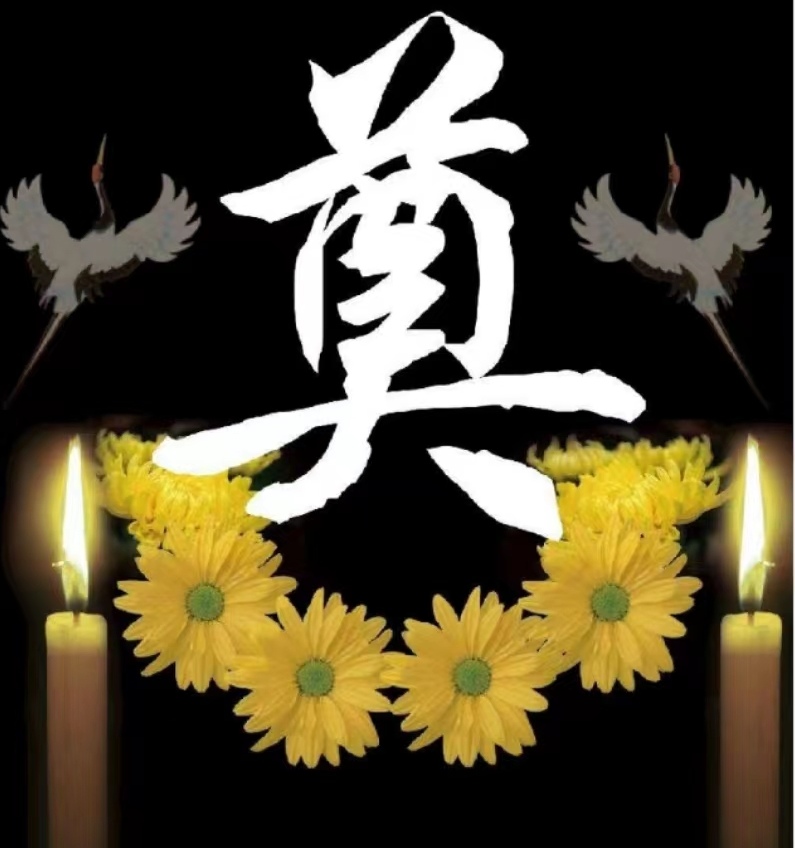 《悼念肖飞诗友诗文联专辑（二）》——（泸州叙永扎西等地众诗友）（图16）