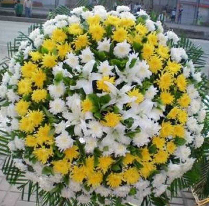 《悼念肖飞诗友诗文联专辑（二）》——（泸州叙永扎西等地众诗友）（图21）