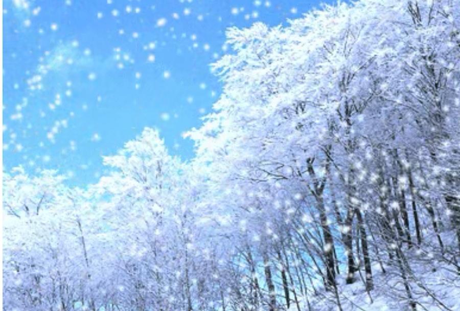 【方圆朗诵会专场】诵读:黑水龙吟朗诵团【黑水龙吟】【第540期】(图11)