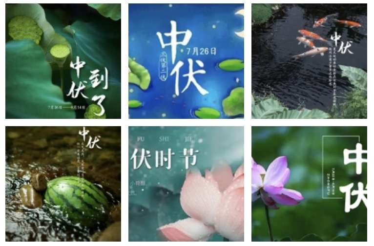 〔诗词小辑〕文/风鸽（张晓峰）【冰心文化传媒】主编冰心（图4）