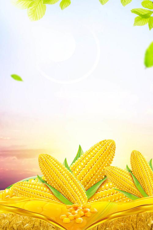 张艳宏—《玉米情缘》—原创精选—都市头条(图2)