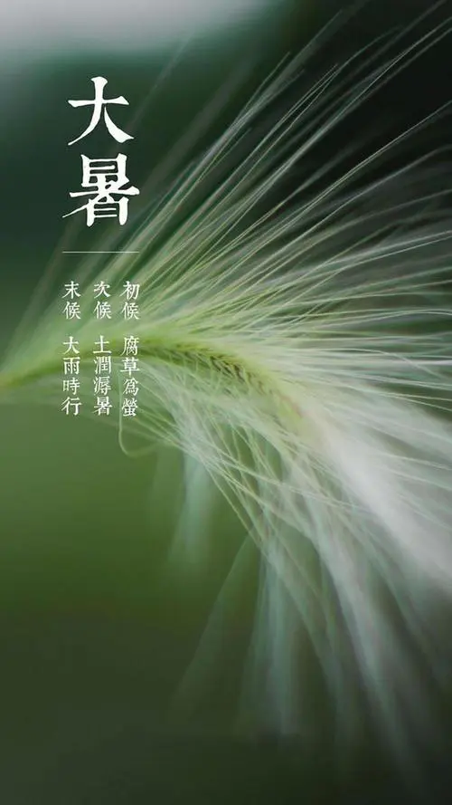 [桃源国际诗歌馨声]现代诗三首|作者:芦国柱|（江苏镇江）主播:涛声依旧[总1140期]（图7）