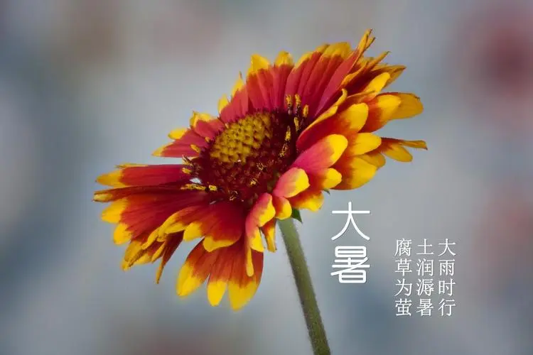 [桃源国际诗歌馨声]现代诗三首|作者:芦国柱|（江苏镇江）主播:涛声依旧[总1140期]（图5）