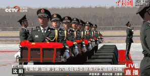 中国军魂 作者 笑弥勒(浙江)【冰心文化传媒】主编 冰心(图10)