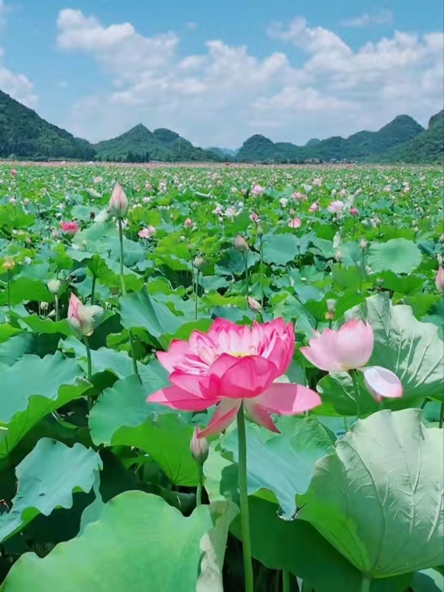【神州源流诗苑】第701期[优秀现代诗]（含其他）周刊（图9）