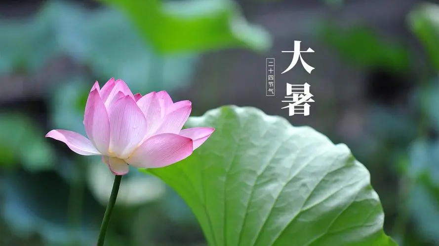 风雅诗社·二十七期·自由诗篇(图10)