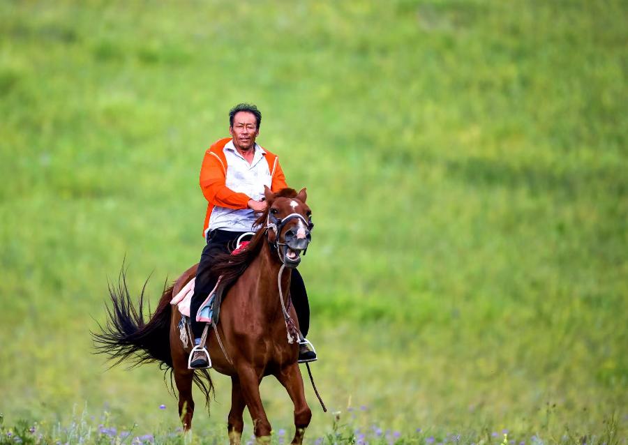 红榜诗人山野之水现代诗《乌兰布统的草原三哥》(图2)