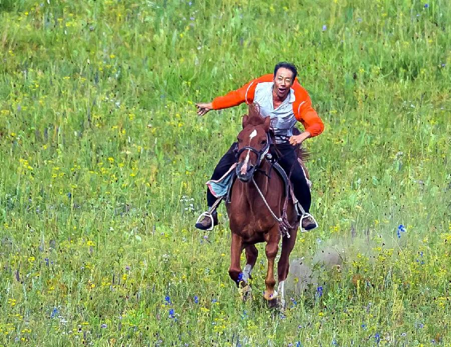 红榜诗人山野之水现代诗《乌兰布统的草原三哥》