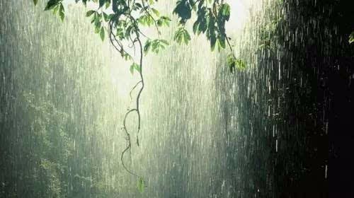 白丽芬.五绝、七绝《雨歇》二首（原创首发）（图2）