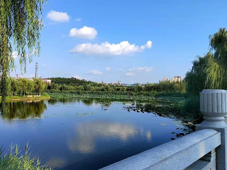 著名诗人侯文香老个人专辑（图6）