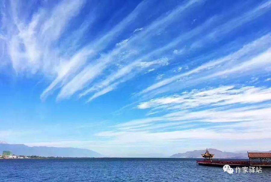光明专辑(宁夏)《社会人生》【冰心文化传媒】主编 冰心(图21)