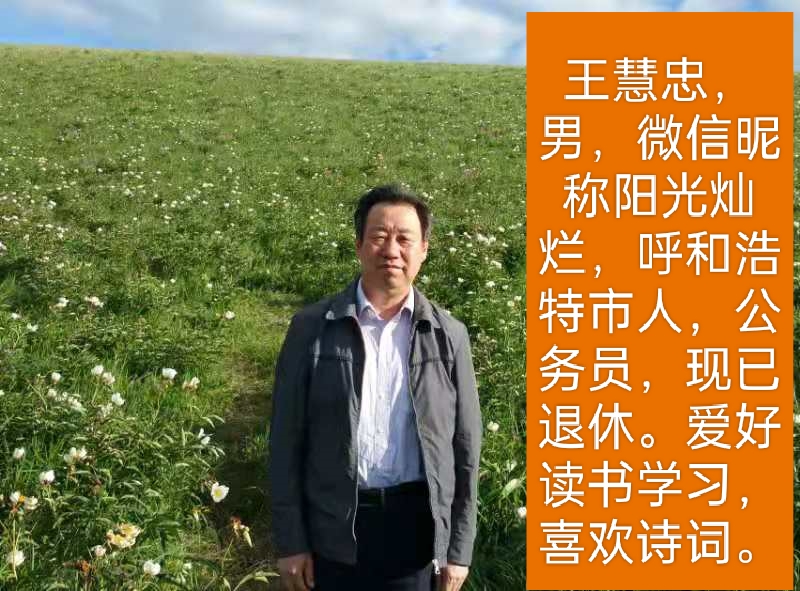 一字令•诗文/王慧忠（图4）