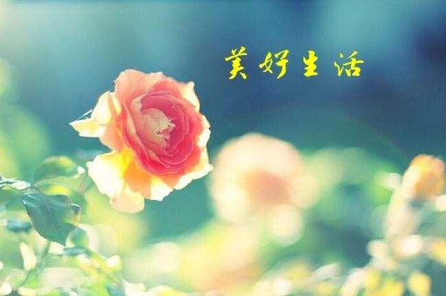 光明专辑(宁夏)《社会人生》【冰心文化传媒】主编 冰心(图51)