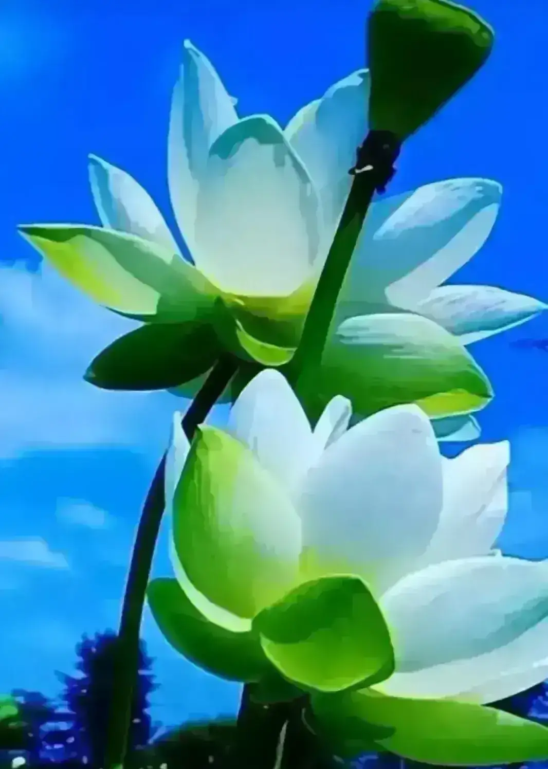 组诗三首 作者/童话【都市头条采菊东篱文学社】