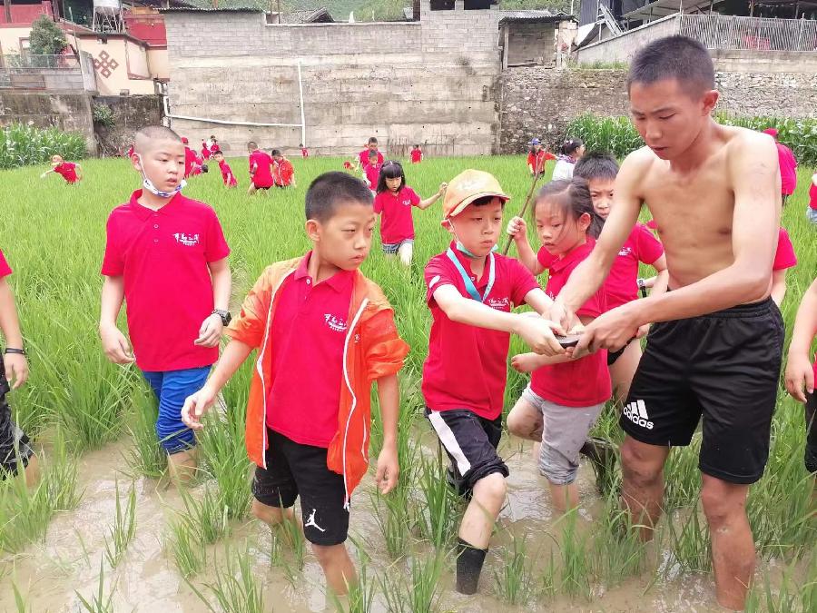 孟国泰与辛勤（2）：万物教育进滇西（图5）