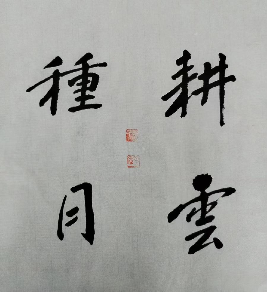 【雅诗总会】墨随心走写出书法的田园‖摄影家诗人张守军书法作品一览（图16）