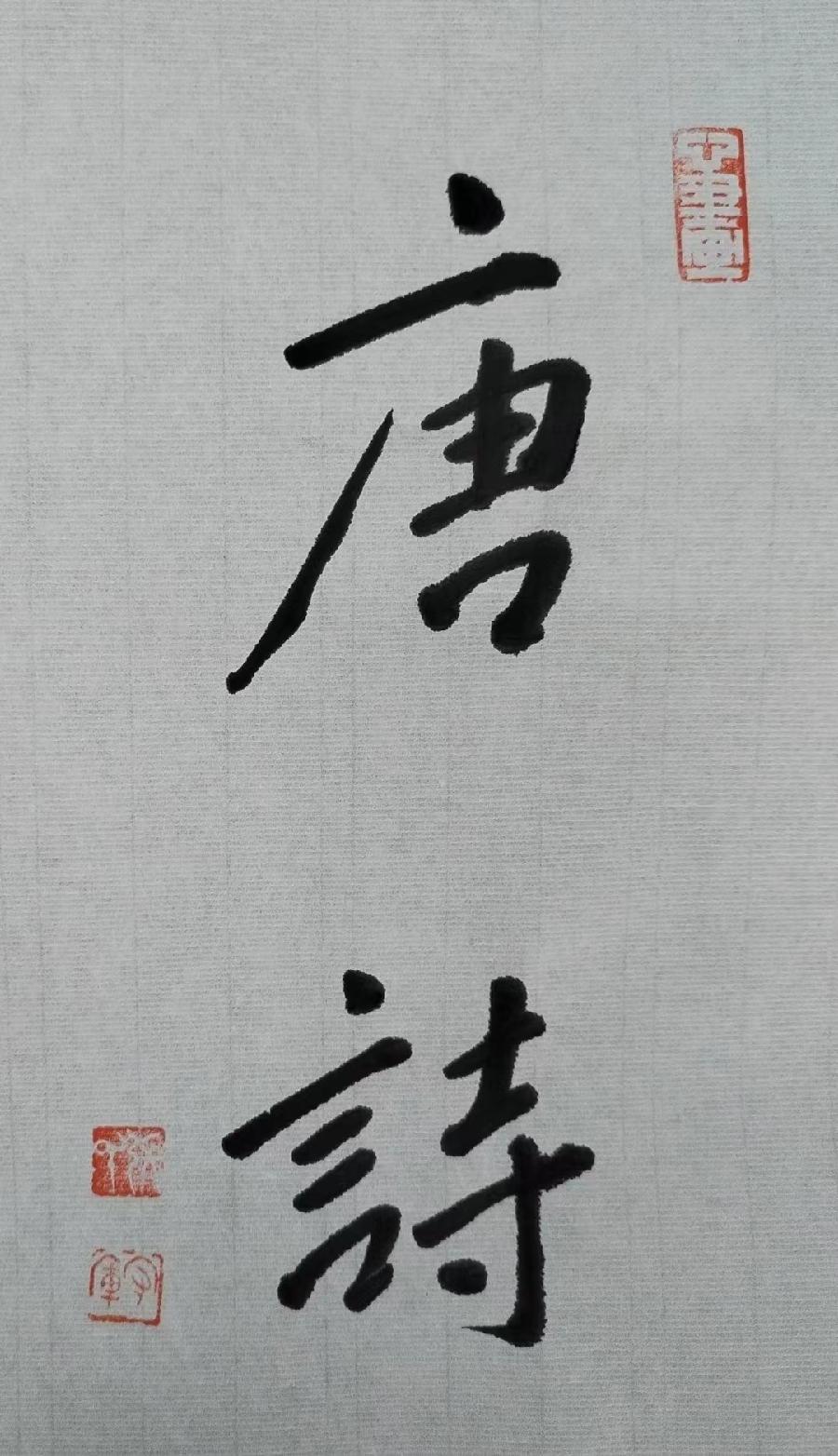 【雅诗总会】墨随心走写出书法的田园‖摄影家诗人张守军书法作品一览（图20）
