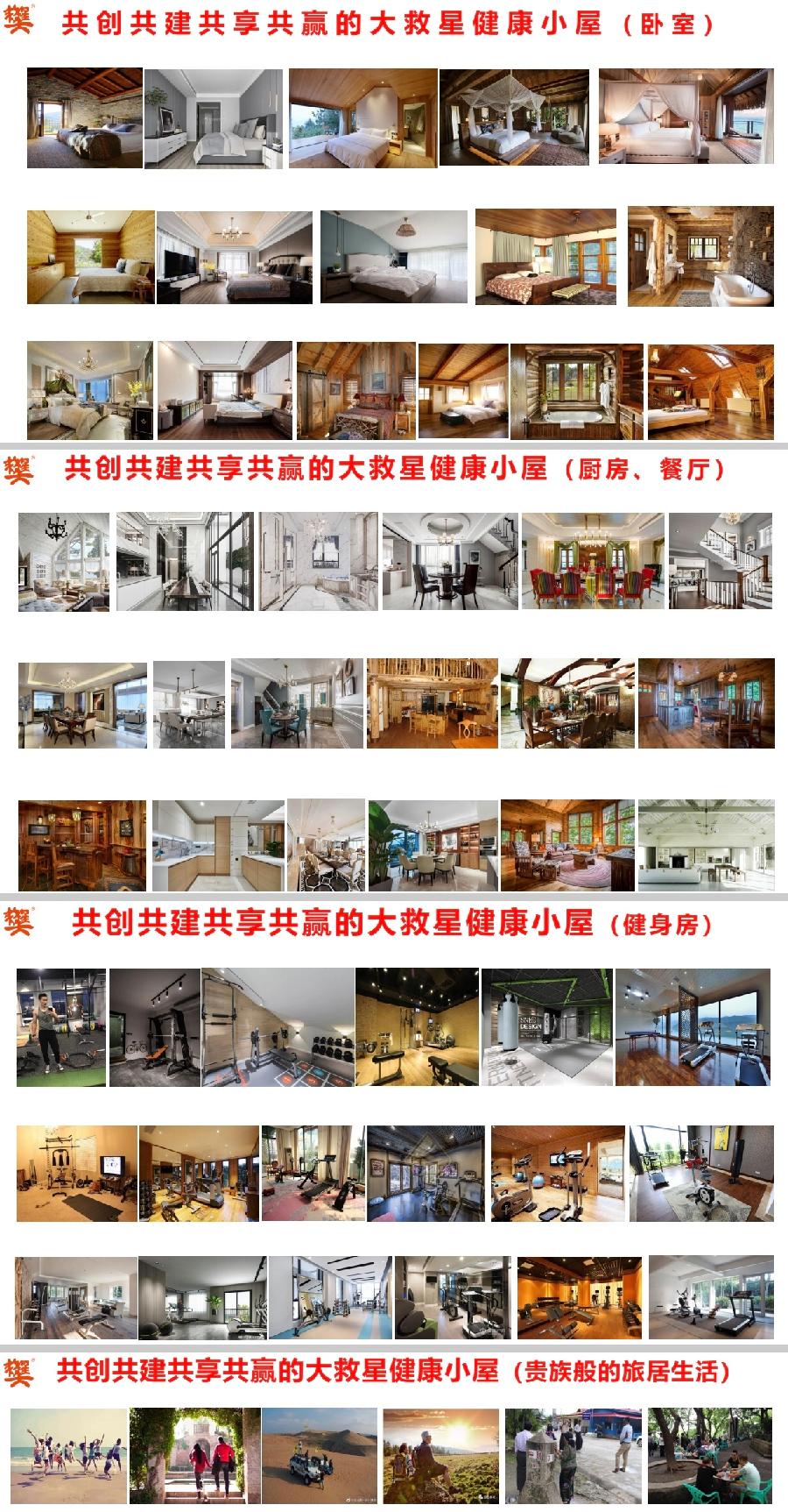 「大救星健康小屋 我的家在全中国」海外華英刊（图14）