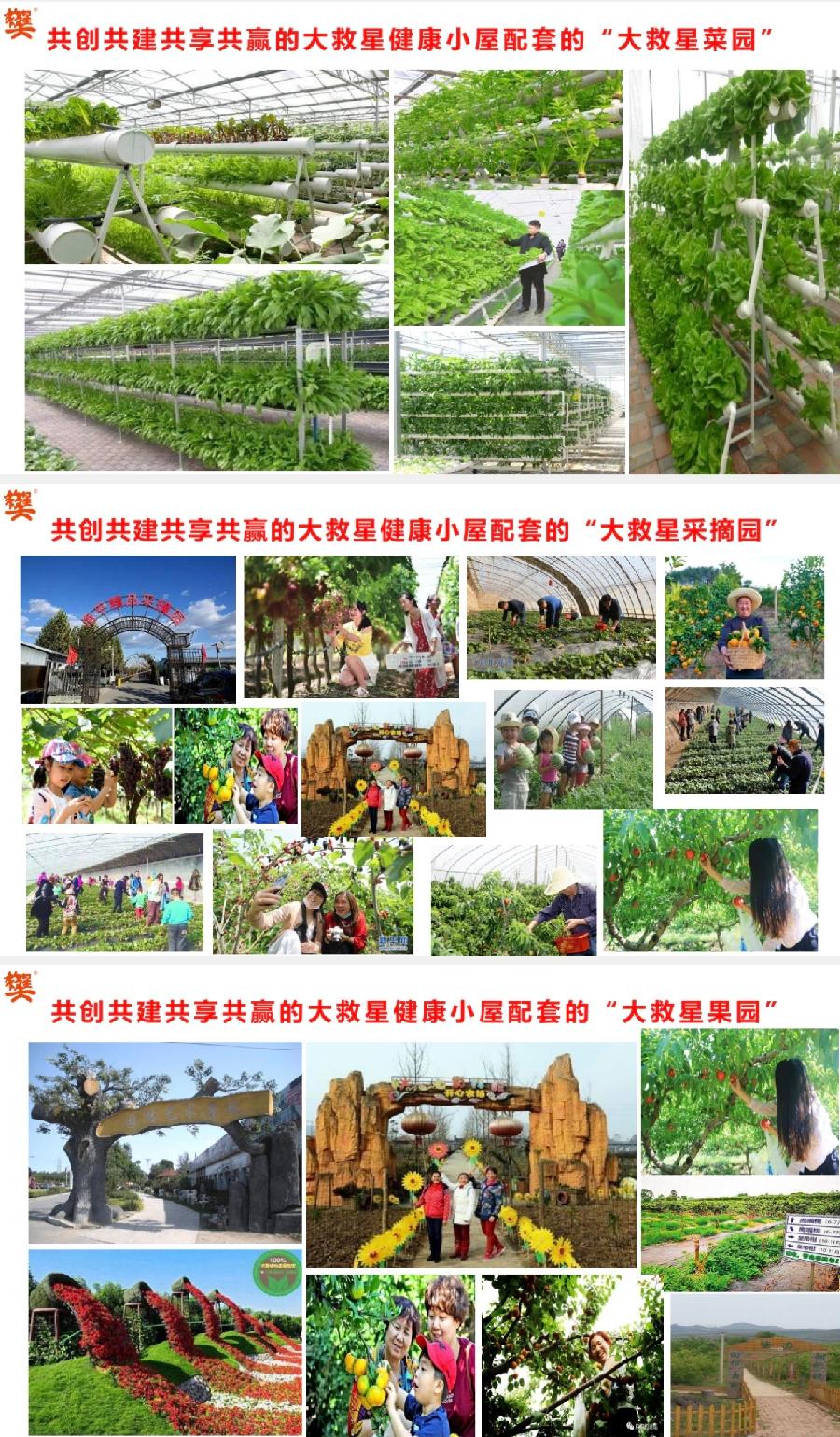 「大救星健康小屋 我的家在全中国」海外華英刊（图16）