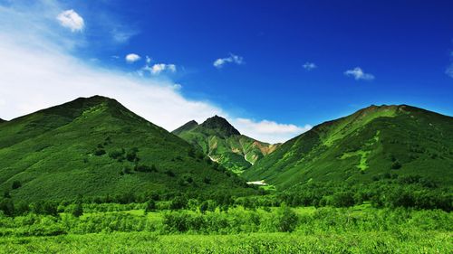 孟国泰与辛勤（2）：万物教育进滇西（图8）