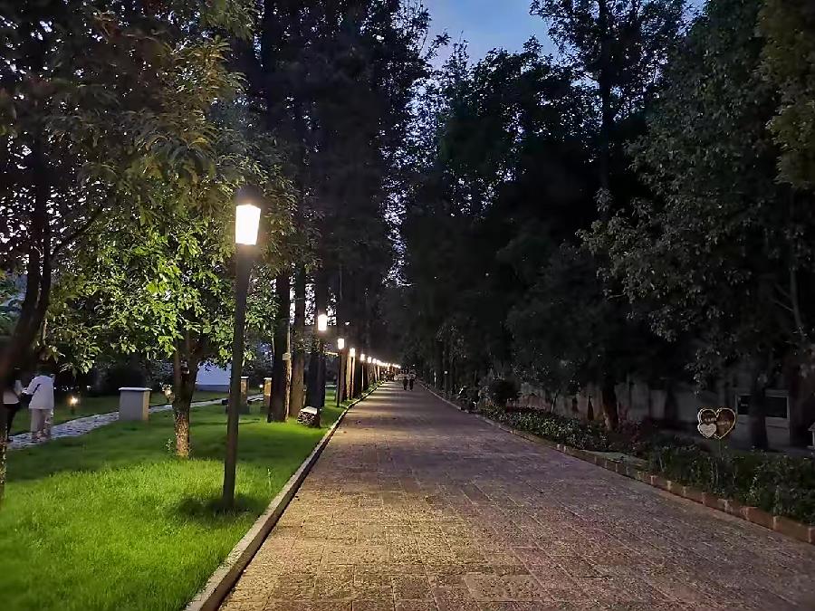 【新诗大观】把夜色点亮||文/最美的时光