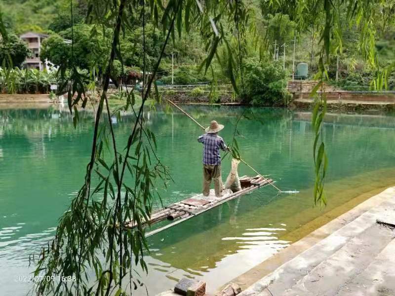 （绝句三首)夏美乡村/文/翰墨拾遗