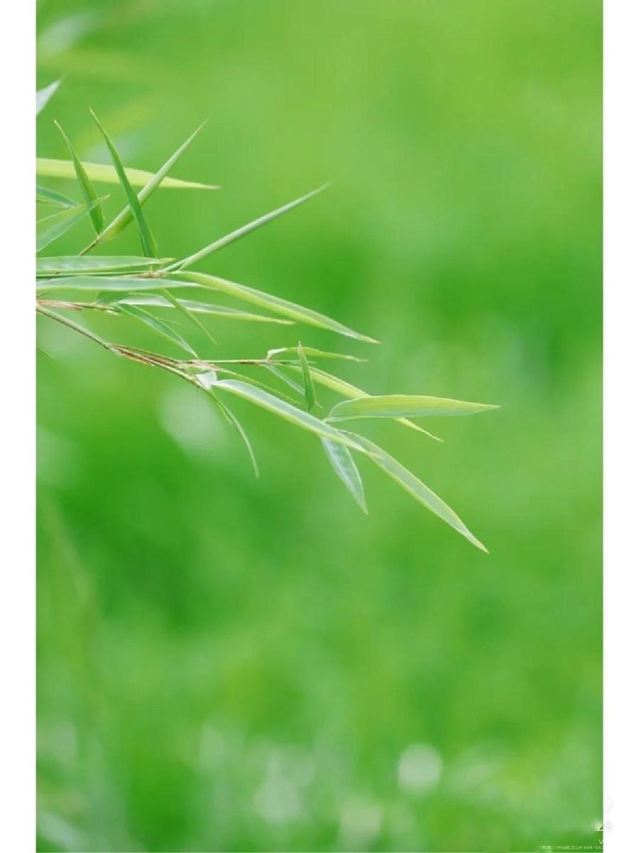 陈金茂｜看图写诗（67）回望昨日之星辰（三首）【冰心文化传媒】主编 冰心（图4）