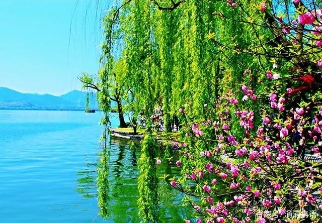 《0556-现代诗絮》（图10）
