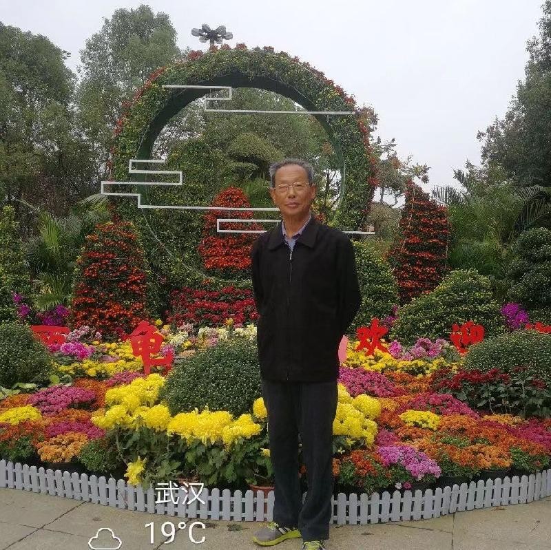 “八一”颂 （三首）文／李道成（武汉）【冰心文化传媒】主编 冰心（图6）