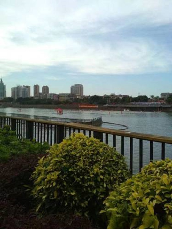 155907567.jpg k01.jpg