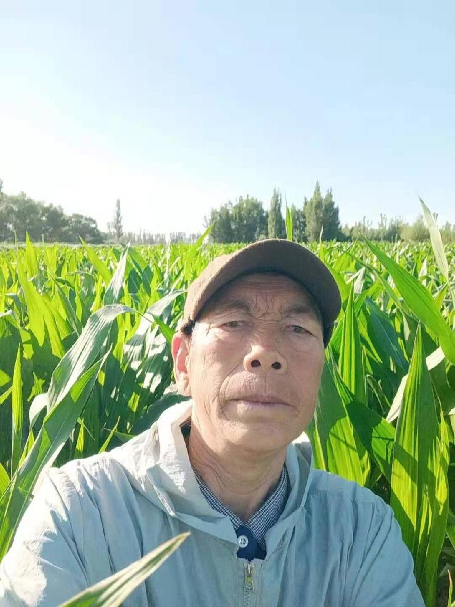 《致敬!铁血军瑰。讴歌!红色经典》“八一”放歌、认证诗人/澎湃的浪、主播/凤珠、黄金诗院有声之家。(图10)