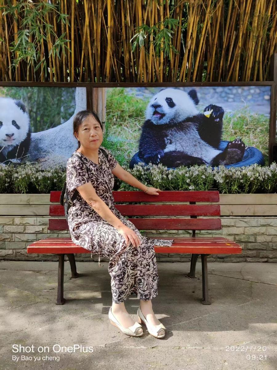 【当代文艺】《天府游记》作者:蒋四清(图16)