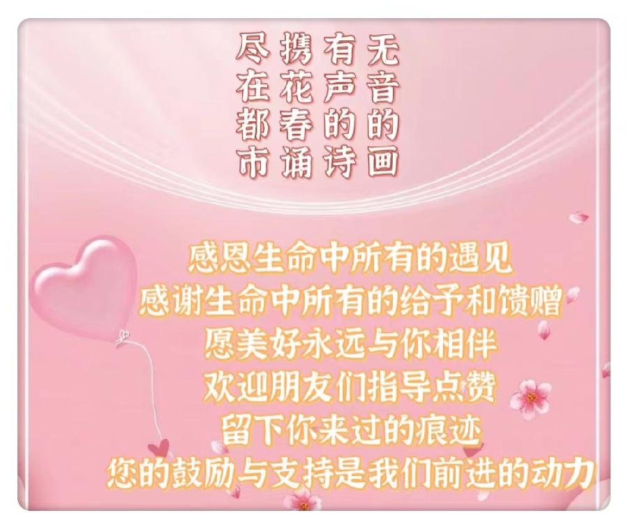 《放下》作者‖风月 主播‖求真(图19)