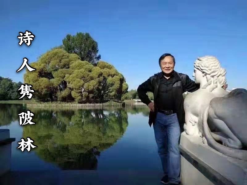 【当代文艺】《荷叶杯十阕》作者:隽陂林(图7)