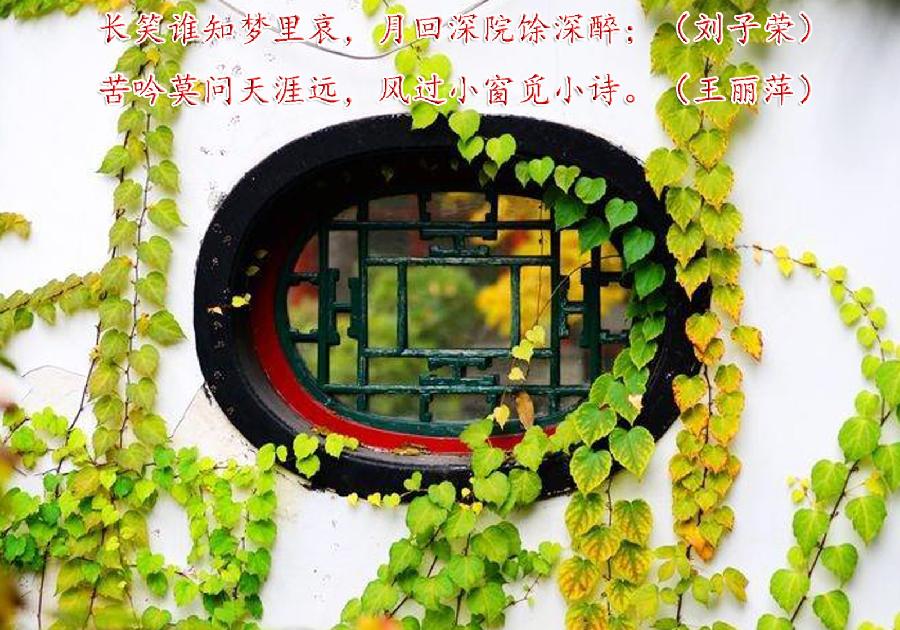 联蕾争妍第19次练习（图10）