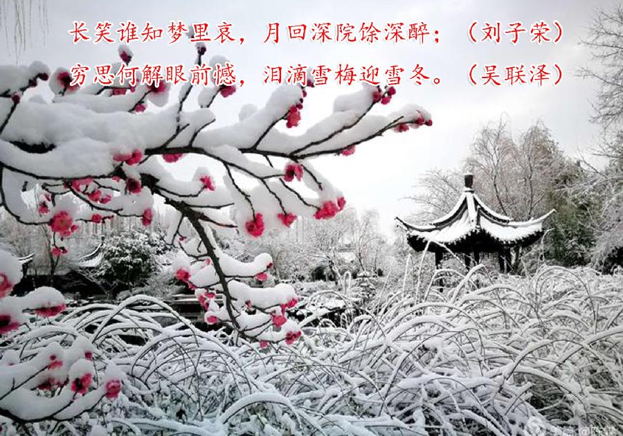 联蕾争妍第19次练习（图15）