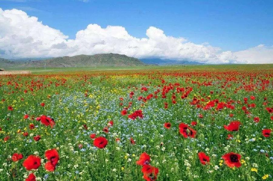 方台钓韵(图5)