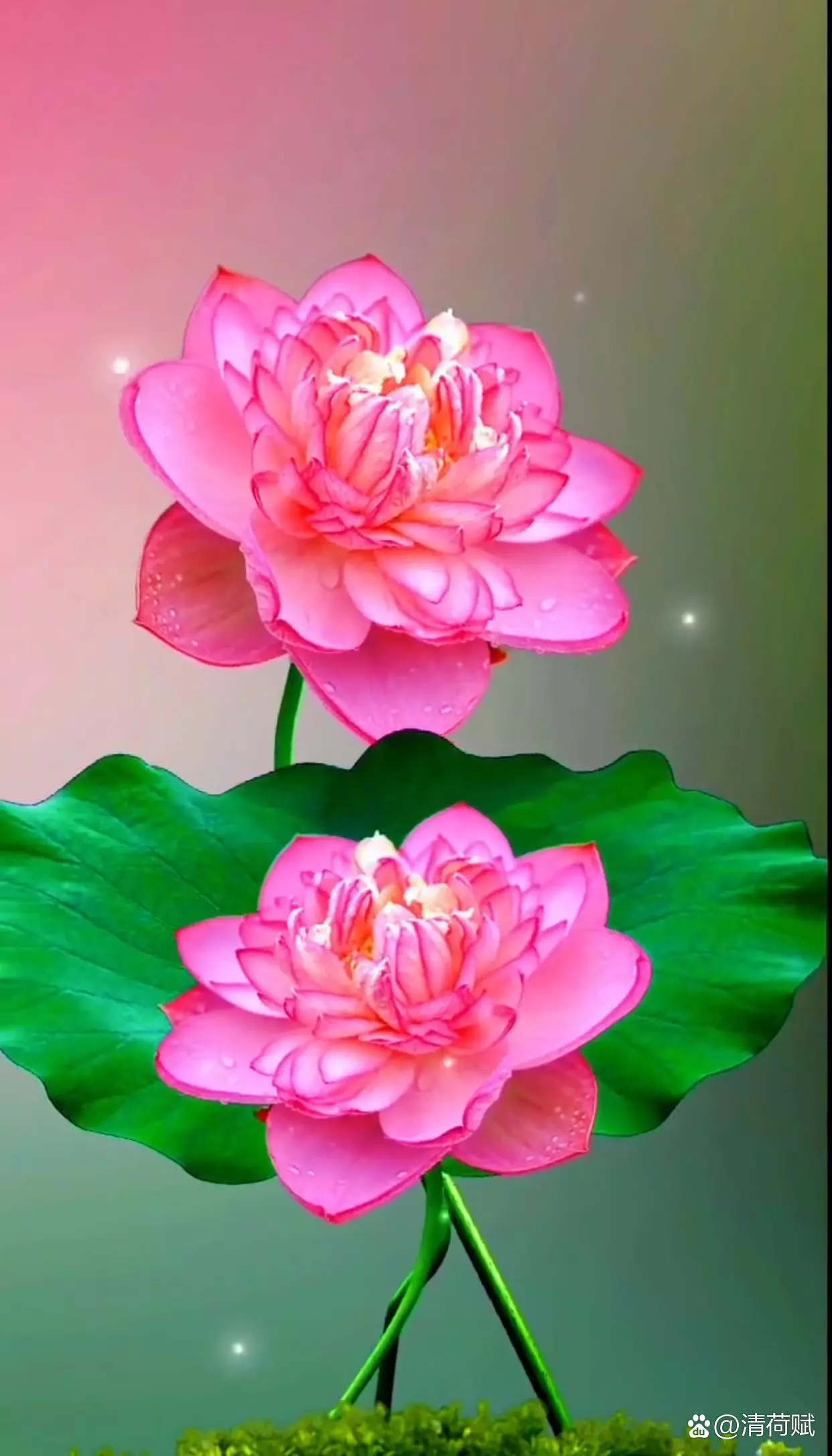 【华夏名篇】分享（鲁者）肖树民组诗请欣赏（图21）