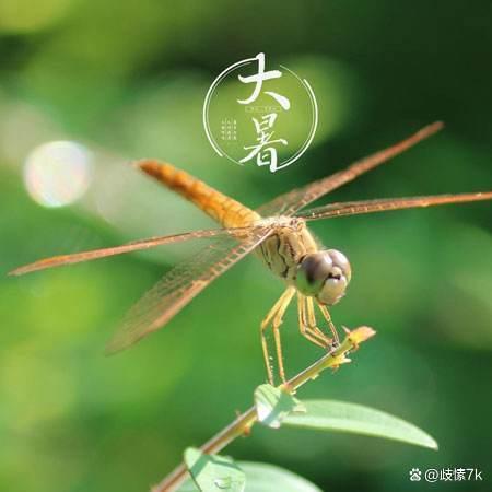 七律 •庆祝八一建军节/文 / 蔡辉英/外一首（图2）