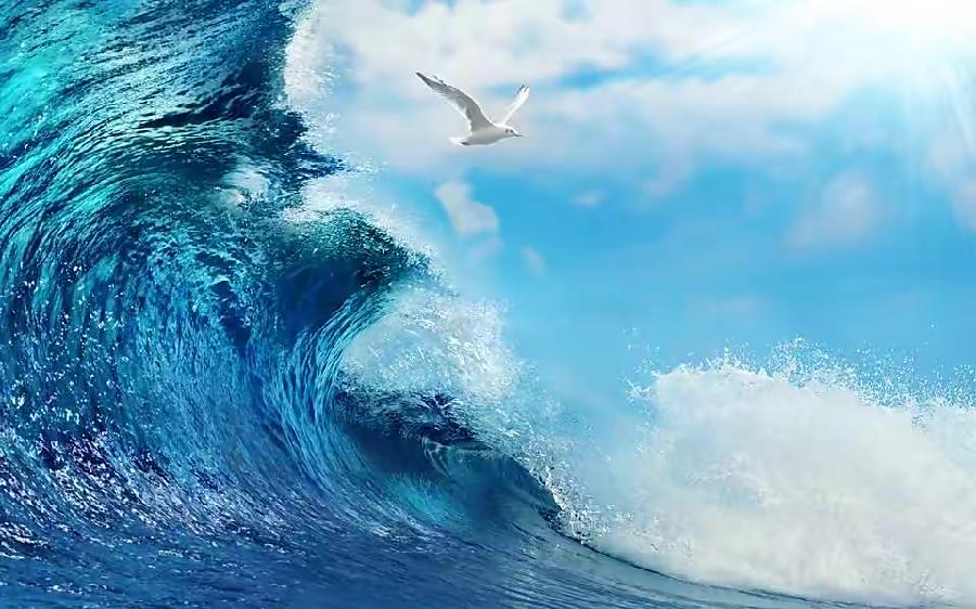 【梅园之音】听忽然朗诵《大海》作者：王淳娜（图6）