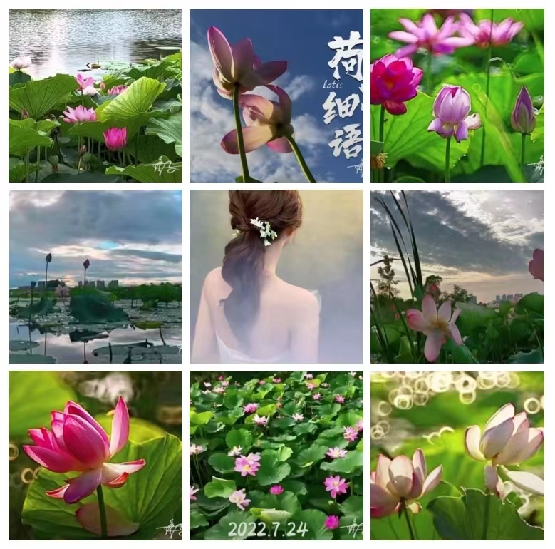 【英国文学】精品个人专辑《今晚的月光》(外三首)作者|义博云天、摄影|修子(图6)