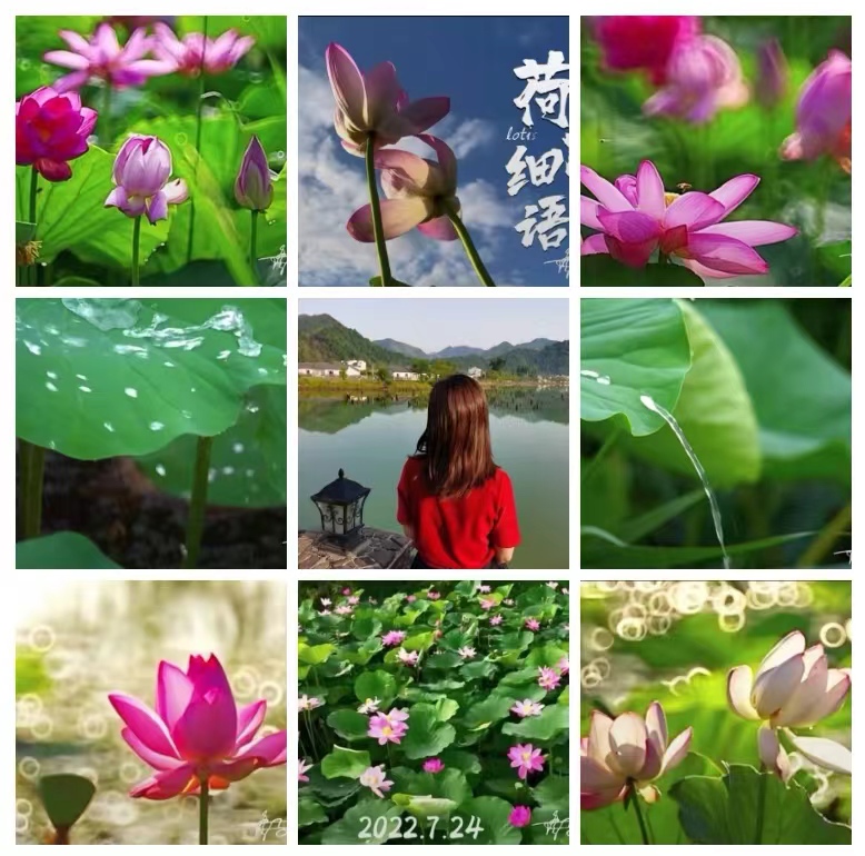 【英国文学】精品个人专辑《今晚的月光》(外三首)作者|义博云天、摄影|修子(图7)