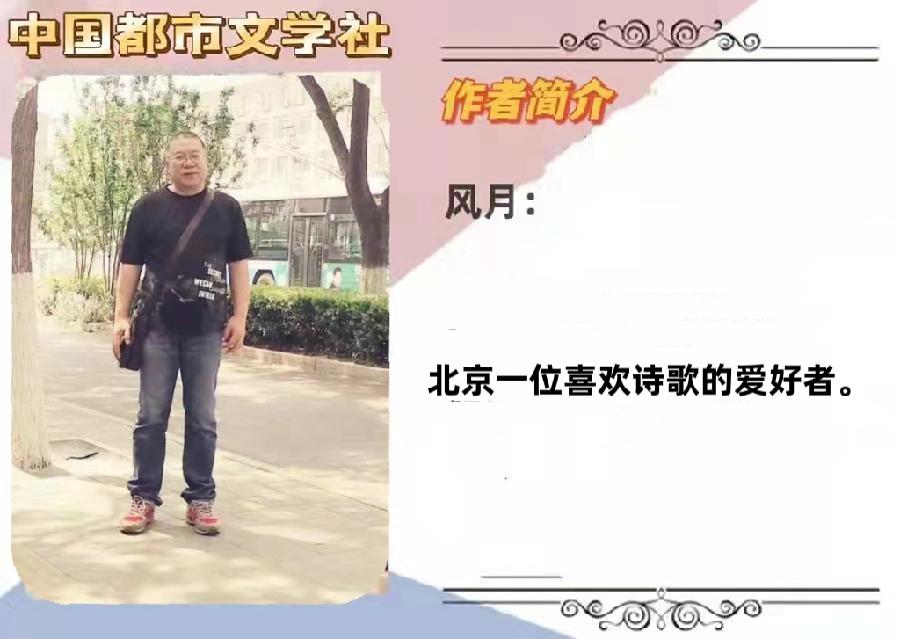 《放下》作者‖风月 主播‖求真(图11)