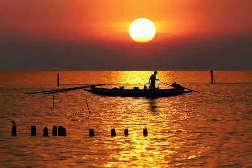 雨杉诗歌《海之恋（之四）沐浴在夕阳里》主播：梅竹 编辑：小鱼儿 【北疆头条】（第259期）（图6）