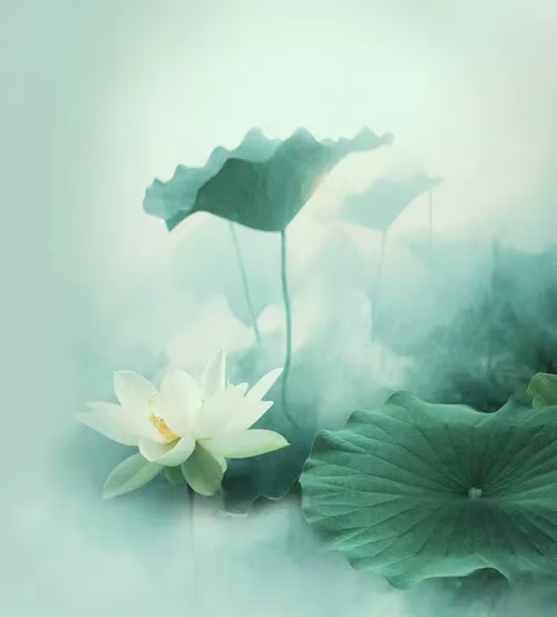 《北美翰苑散文诗社》(图24)