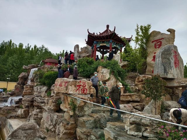 【浓浓爱心献真情,无偿献血敬英雄】金水城香油开展无偿献血活动(图14)