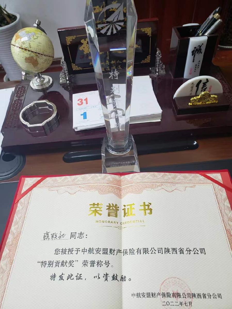 【获奖】《退役军人燕联社获省“特别贡献奖”有感》文/长安（图2）