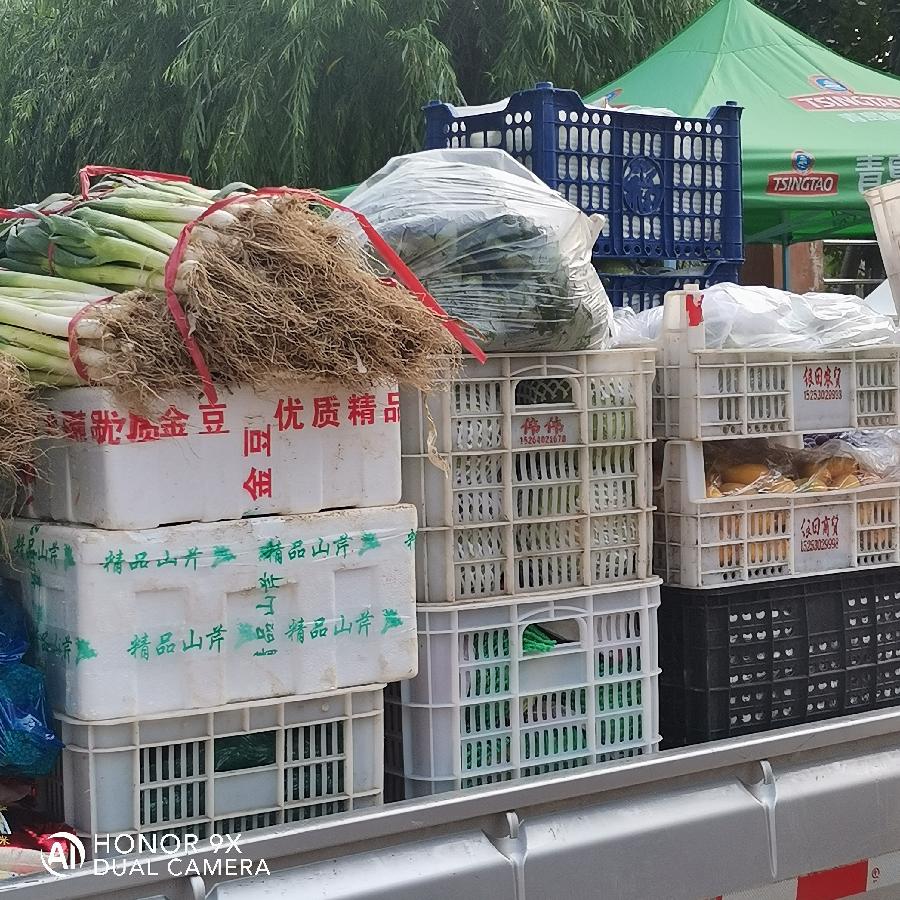 靠实疫情防控责任·筑牢战疫坚强堡垒——战疫防疫，康馨雅苑物业在行动（图13）