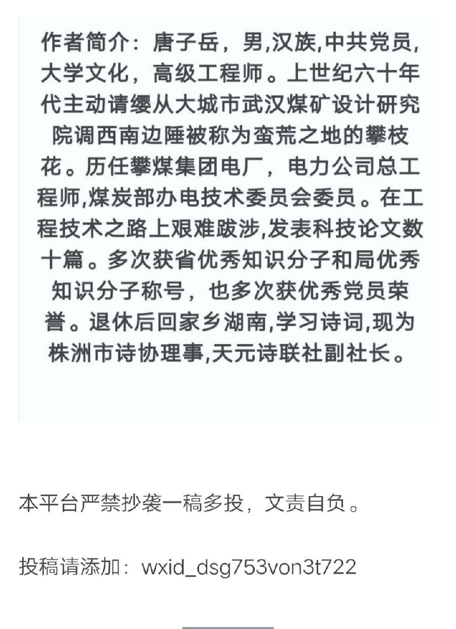 摄影家柳卫平古稀70华诞寿庆|唐子岳（图14）